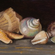 240603-seashells-10x5