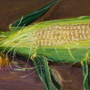 240731-a-fresh-ear-of-corn-7x5