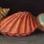 240812-seashells-approx-5x11