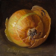 241209-an-onion-6x6