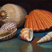 241211-seashells-commission-8x6