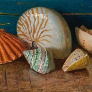 1_250503-seashells-12x8