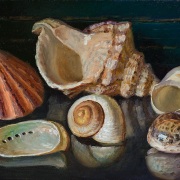 1_250515-seashells-12x8