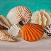 1_250722-seashells-12x9