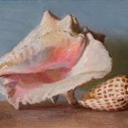 1_250723-seashells-with-blueish-background-8x6