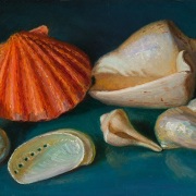 1_250829-seashells-12x8