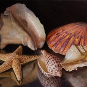 1_251122-seashellls-10x8