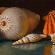 250112-seashells11x5