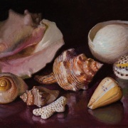 250125-seashells-12x9