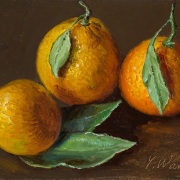 250218-mandarin-oranges-7x5