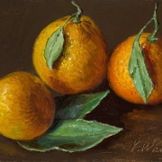 250223-mandarin-oranges-7x5
