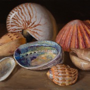 250301-seashells-12x9
