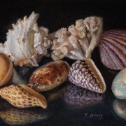 250420-seashells-12x8