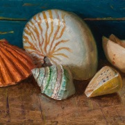 250503-seashells-12x8