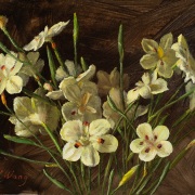 250526-Daffodil-flower-10x8