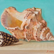 250724-seashells-with-greenish-background-8x6