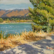 251201-Lake-Elizabeth-in-Fremont-12x12
