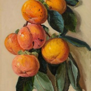 251201-persimmons-with-a-brigght-yellowish-background-8x10