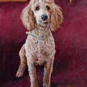 251205-a-poodle-dog-commission-8x10