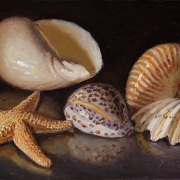 251213-seashells-10x7