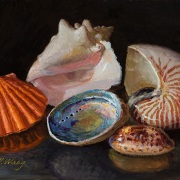 251226-seashells-12x9