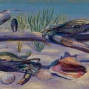 110909-commission-crabs-14x5
