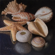 210401-seashells-commission-8x8