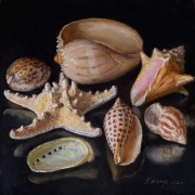 221222-seashellss-10x10-1