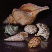 221222-seashellss-10x10-2