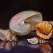 221222-seashellss-10x8-1