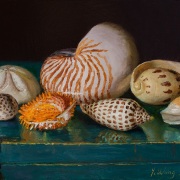 221222-seashellss-12x9-1