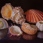 221222-seashellss-12x9-2