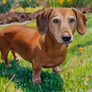 230725-dog-commission-10x8