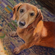 230725-dog-commission-8x8