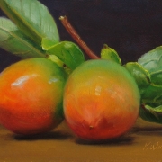 080808a1074-two-persimmons