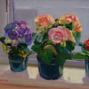 100909a1639-flower-on-window-sill