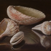 122912-seashells2