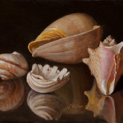 140716-seashells