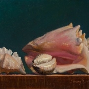 140717-seashells-8x10