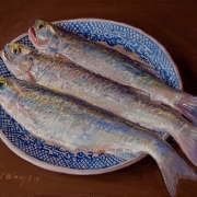 141028-fish-in-a-plate