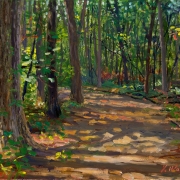 141116-a-path-in-the-wood-landscape