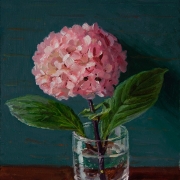 150908-hydrangea-flower