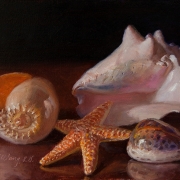 151114-seashells