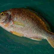 160122-fish