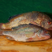 160130-fish