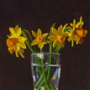 170408-daffodil-flower
